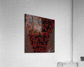 Schwindeformen Acrylic Print