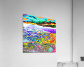Lightening Acrylic Print