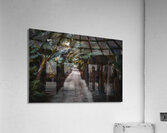 Banana Canopy Secrets Acrylic Print