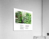 JE T OFFRE UN DIVIN LIT Acrylic Print