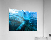 Bears Underwater Acrylic Print