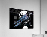 Crow Acrylic Print