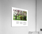 JE T OFFRE UN PARFUM Acrylic Print