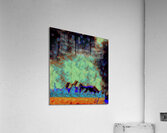 As Violins Fill With Water Acrylic Print