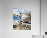 Seagulls and a Man Acrylic Print