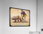 Michigan Wolverine Biff Viewfinder Art Acrylic Print