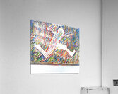rainbow jump Acrylic Print