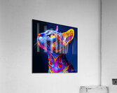 Kitty Queen - Cat Breeds Acrylic Print
