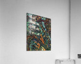 Laytoba Acrylic Print