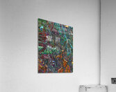 College town Acrylic Print