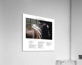 I OFFER YOU A HORSE Acrylic Print