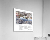 I OFFER YOU A BROOK Acrylic Print