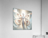 A parallel world  Acrylic Print