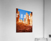 Up Wallstreet Acrylic Print