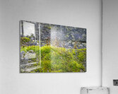 Ancient Wall With Moss Acrylic Print