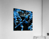 Ethereal Elements - Ballet Masculine Acrylic Print