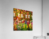 a picturesque scene of a colorful garden in a har Acrylic Print