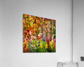A stunning scene of a colorful garden in a jar  Acrylic Print