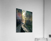 Watkins Glen State Park Acrylic Print