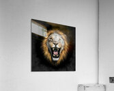 Default Create a roaring lions face with the black Acrylic Print