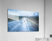 Bear Break Acrylic Print