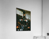 alien  Acrylic Print