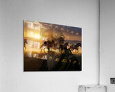 SADNESS Acrylic Print