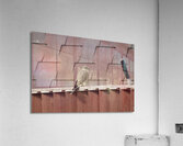 I pose for you Acrylic Print