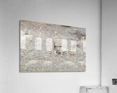 Look closely Acrylic Print