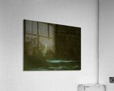 10617 Great Blue Heron Ardea herodias Acrylic Print