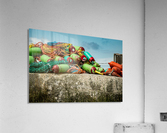 Lobster Floats NS 1115 Acrylic Print