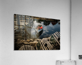 Orrange Float NS Acrylic Print