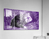 Vintage Horned Frog Art Acrylic Print