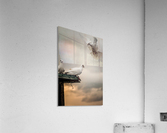 Landing Acrylic Print