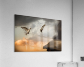 Cuba 20143 Acrylic Print