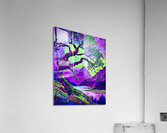 Arte 054 twisted tree Acrylic Print