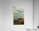 View from Battery Point Lighthouse 2 - CA Acrylic Print