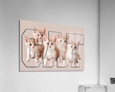 kittens Acrylic Print