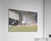 3 deer Acrylic Print