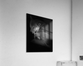Black and White dog Acrylic Print