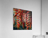 ai artist debra amerson plant artistryorange gold Acrylic Print