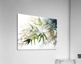 Bamboo Leaves Watercolor Acrylic Print