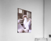 Mushrooms Acrylic Print