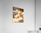 Sunny Morning on the Couch Acrylic Print