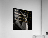 Default line pencil drawing boder collie silhouet Acrylic Print