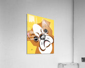 Vector Bulldog Portrait Acrylic Print