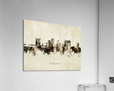 Fort Worth Texas Skyline Acrylic Print