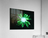 Abstract Green Glowing Cone Flower Acrylic Print