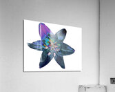 Abstract Awesome Lily Flower Acrylic Print