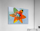 Abstract Vibrantly Coloured Single Lily Flower Acrylic Print